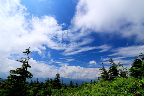 773_会津駒ケ岳_2022.08.09