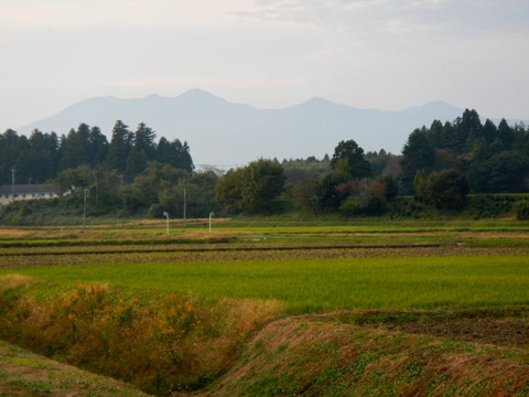 20131103かたおかの森_047