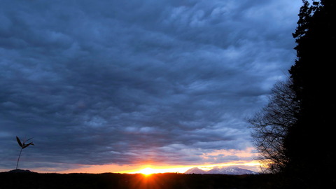 夕焼け散歩！（R07.03.06）