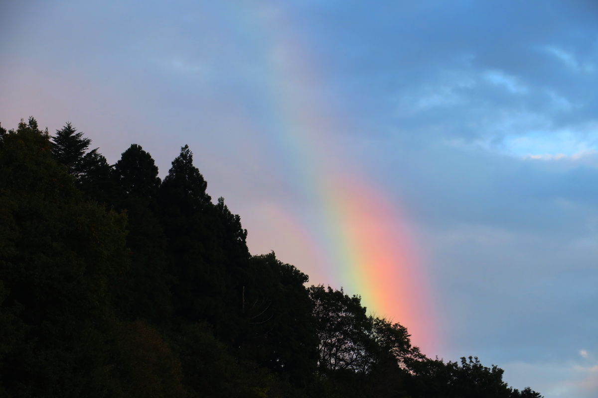 虹を見ながら夕焼け散歩 ｒ02 11 07 みちくさんぽ 人生道草散歩