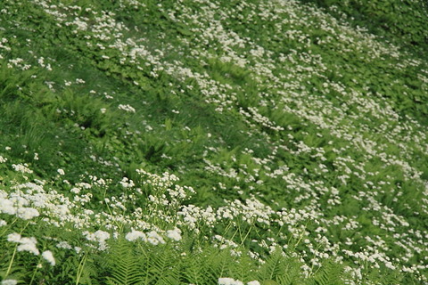 飯豊20120826_122