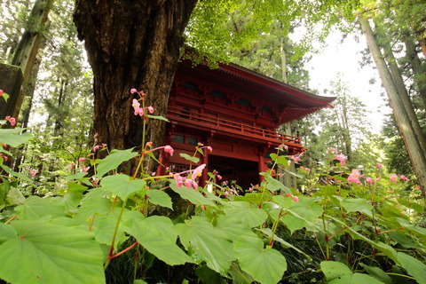 寺山観音寺_20.09.06_070