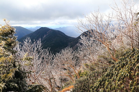 20141113_女峰山115