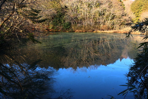 里山散歩_711_2023.01.13