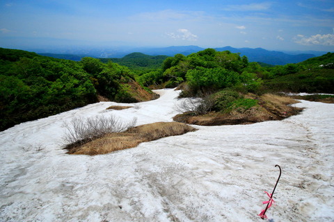 焼石岳_19.06.04_418