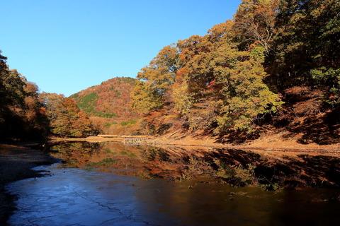 秋色真っただ中でした🍁（早朝の大沼園地）