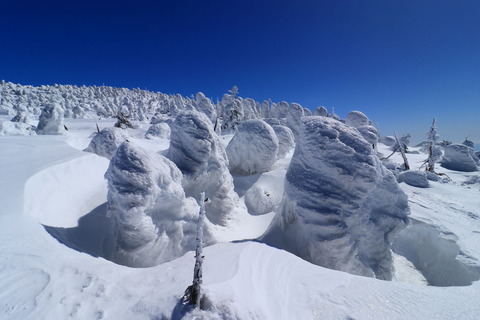 西吾妻山_21.03.04_668