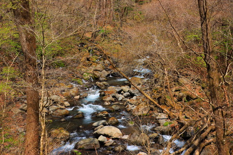 高原山山塊_21.04.08_671