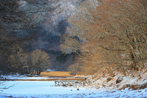 高原山2018_12_18・176