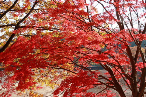 古賀志山_391_2022.11.18