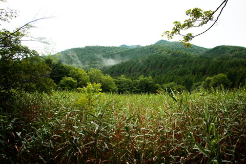 高原山山塊_20.07.27_106