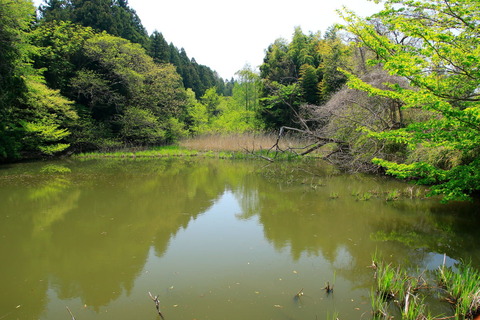 里山散歩_20.05.02_670