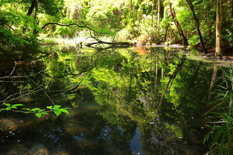 ステキな空間を見つけたよ😉（喜連川丘陵！）