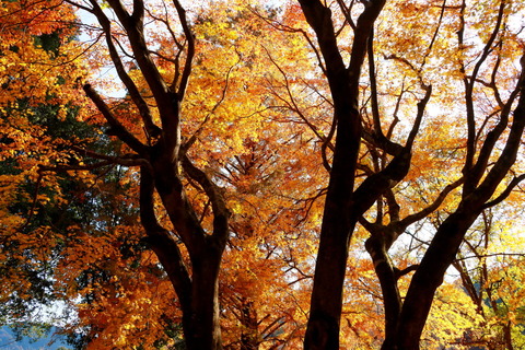 古賀志山_368_2022.11.18