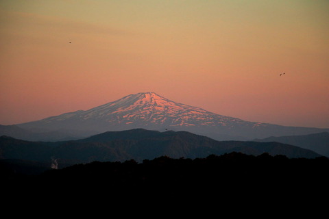 栗駒山_20.06.18_007