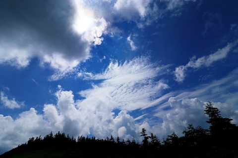 895_会津駒ケ岳_2022.08.09