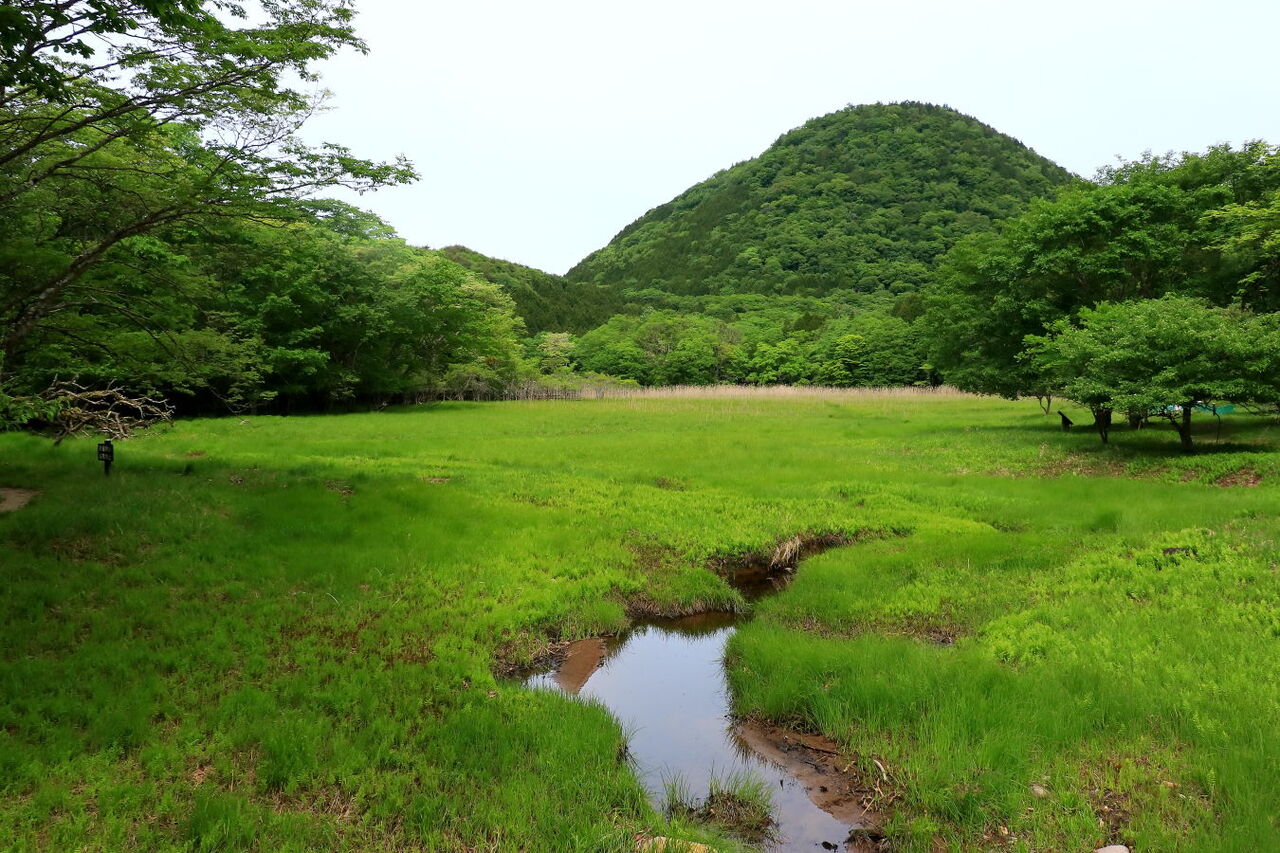 深緑の大沼公園です 栃木県那須塩原市 旧塩原町 みちくさんぽ 人生道草散歩