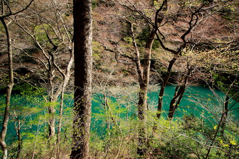 高原山山塊_20.04.22_027