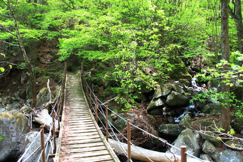 高原山山塊20130513_134