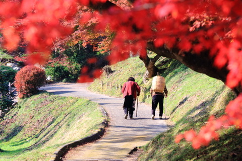 佐久山・雲岩寺H25秋120