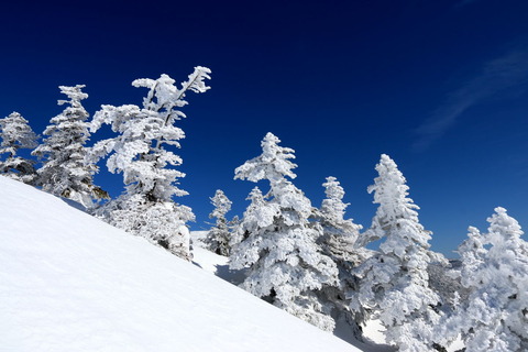 西吾妻山_19.02.22_415