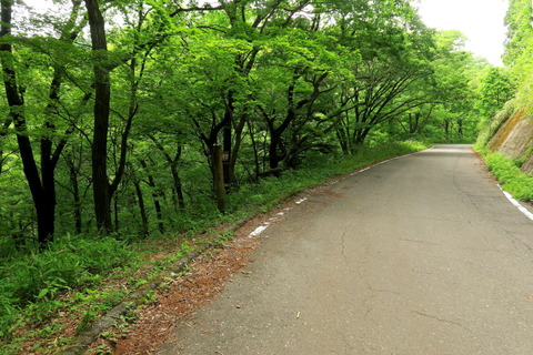 宮川渓谷歩道_20.05.25_094