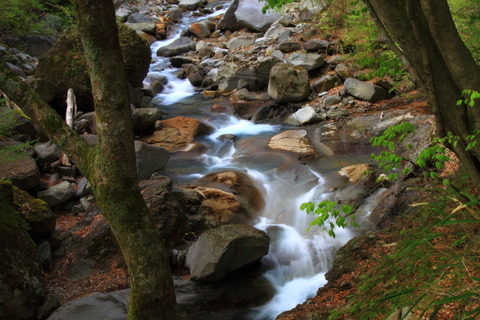 高原山山塊20130513_027