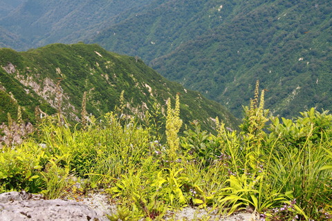 飯豊連峰20150713_14_15_123