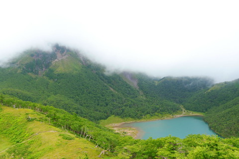 日光白根山_20.08.02_464