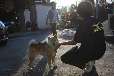 我が家にて20110425_009