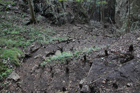 古賀志山20120922_082