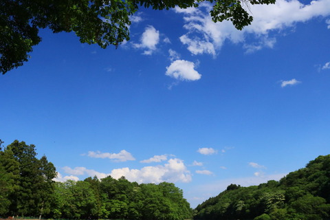 山麓の緑深き森を歩む！