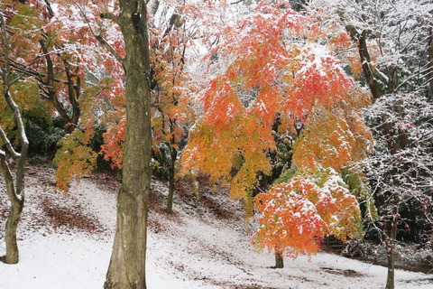 佐久山城址公園071