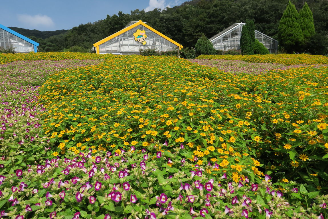 とちぎ花センターで 熱帯のお花と戯れる みちくさんぽ 人生道草散歩