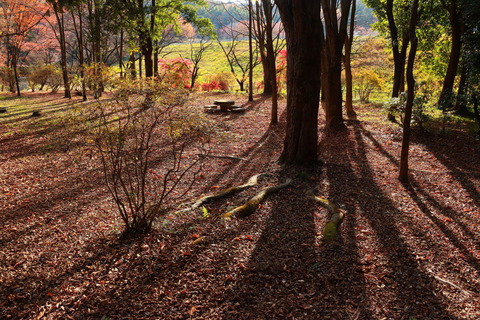 古賀志山_400_2022.11.18