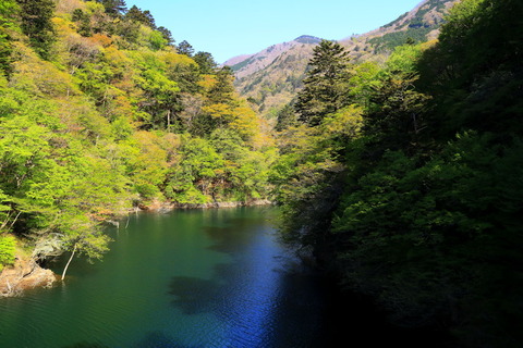 高原山塊_21.04.26_084