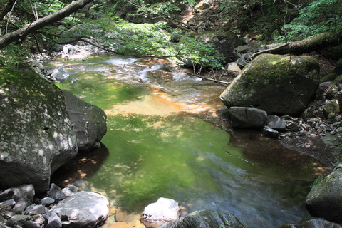 高原山塊_20120604_062