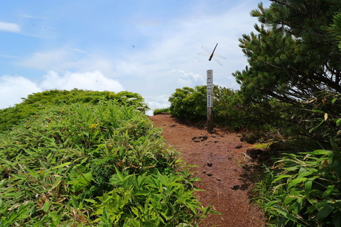 秋田駒ケ岳_19.07.26_993