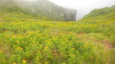 日光白根山20150818_131