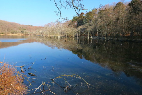 井頭公園20170130_023