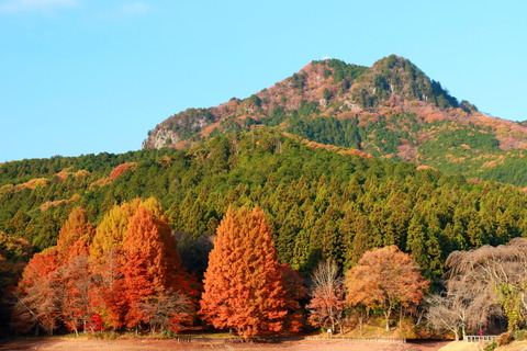 古賀志山_007_2022.11.18