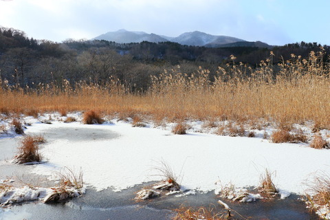 高原山2018_12_18・246