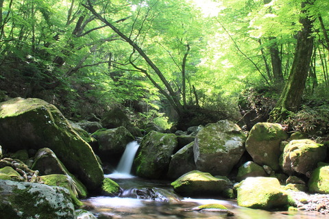 高原山塊_20120604_028