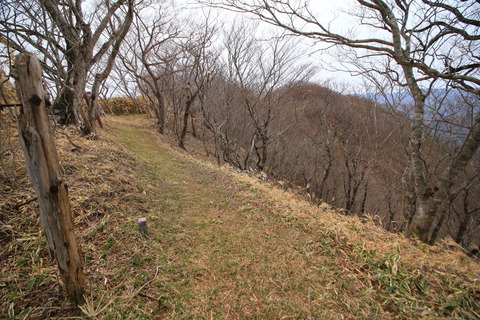 那須20170509_101