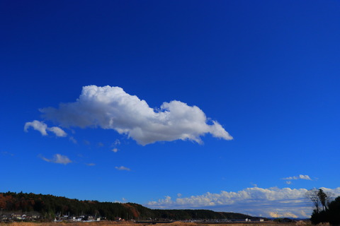 劇的に晴れた、雨上がりの里山散歩！（喜連川丘陵にて）