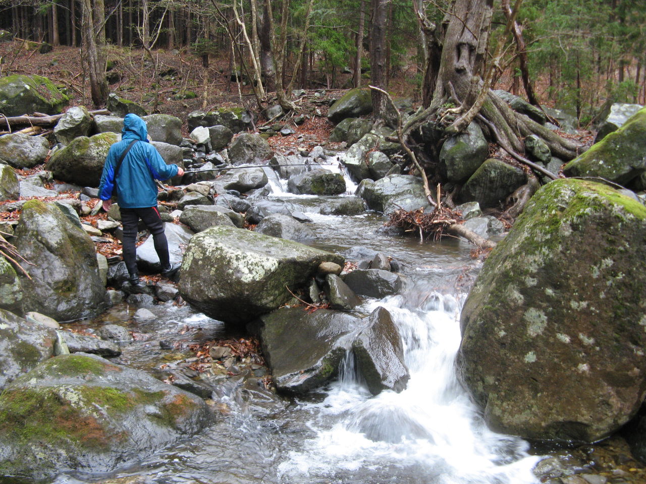 11 04 23 渓流釣りを楽しむ St沢 栃木県那須塩原市 みちくさんぽ 人生道草散歩