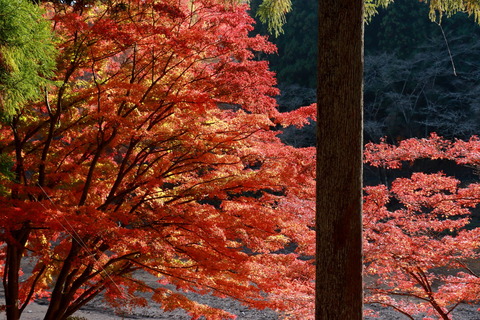 古賀志山_348_2022.11.18