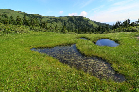 291_会津駒ケ岳_2022.08.09
