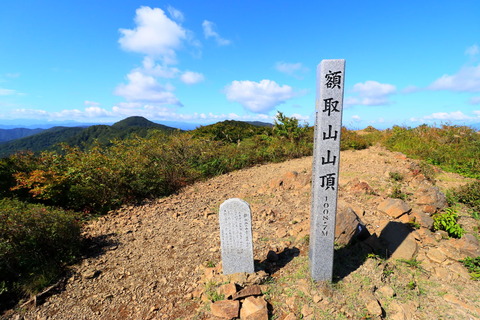 うつくしま百名山：額取山に登る。初秋のお花と小さな秋を拾い集めました。