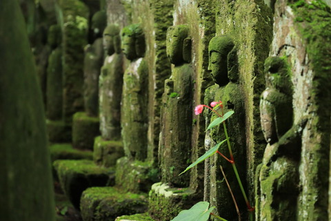 寺山観音寺_20.09.06_308